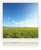 RAW converter AWB